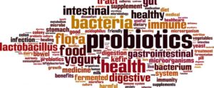 qlabs-probiotics-1