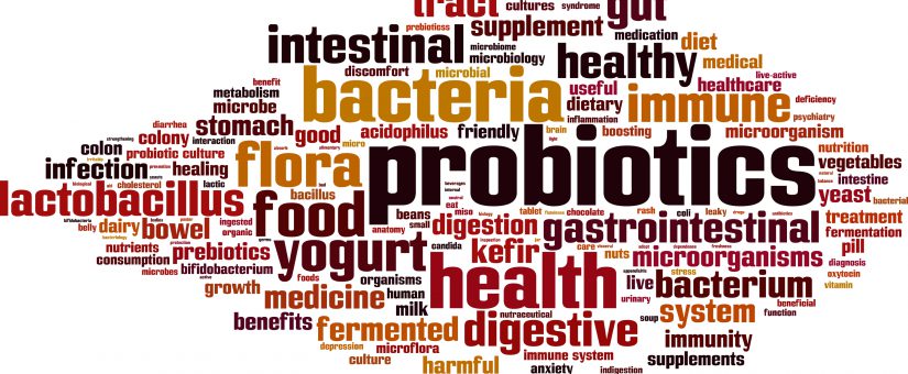 qlabs-probiotics-1