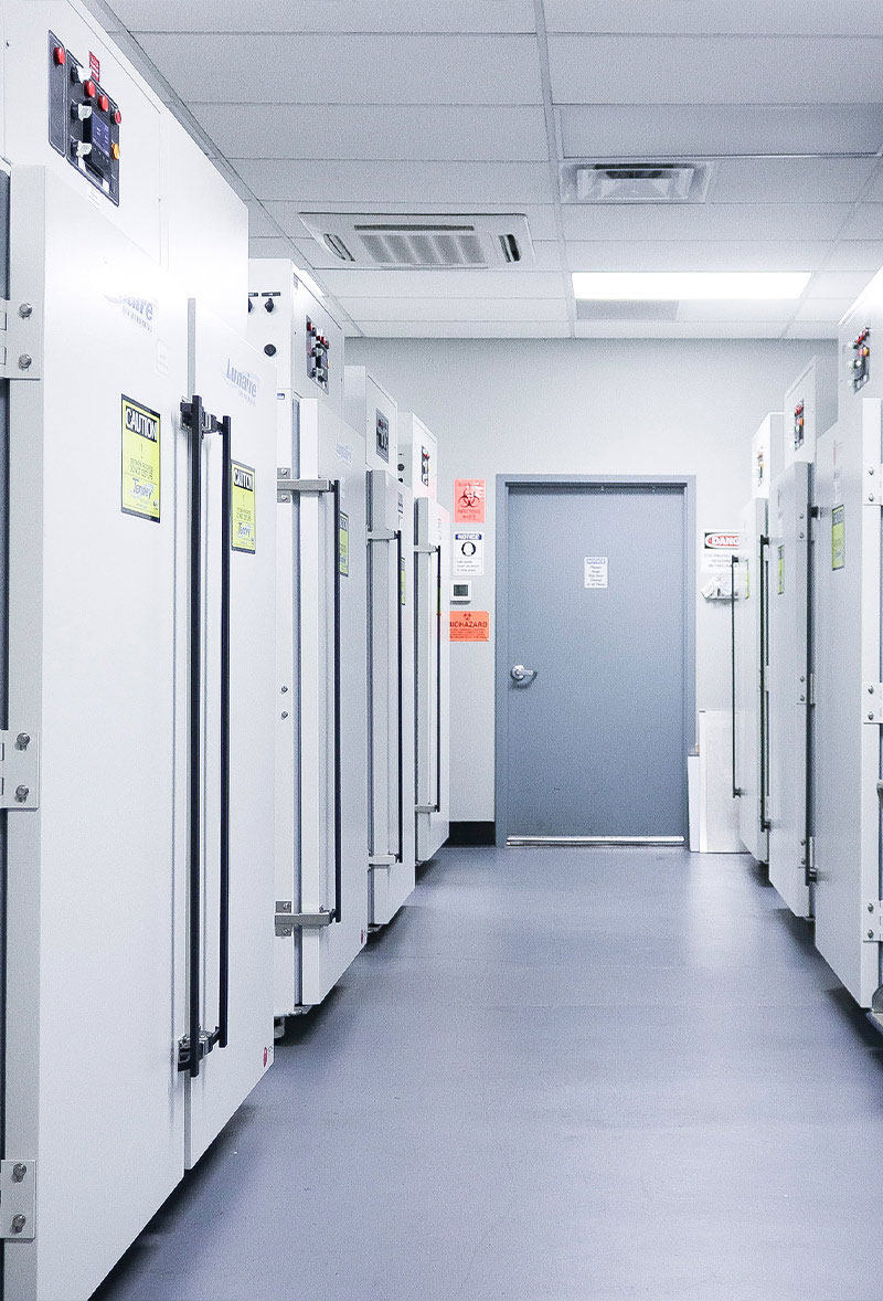 Shelf-Life and Challenge Studies • Food Safety • Q Laboratories